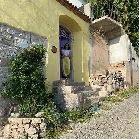 Akropoluen Eteginde Tas Ev *